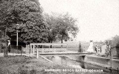 Barnes Beverley Brook,Barnes Common